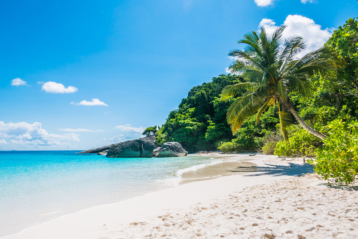 Palawan homes